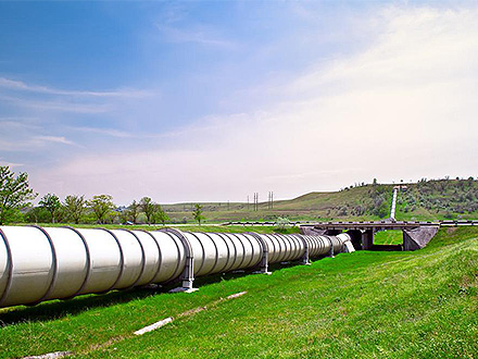 C7在线娱乐客户案例一